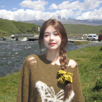 维京人埃里克