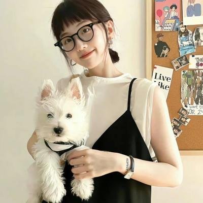侦探人生第三季
